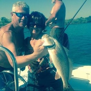 Meet your Posher, Diane smith